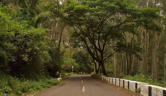 Yelagiri