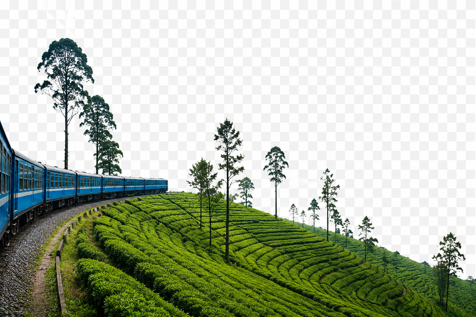 Ooty Hills